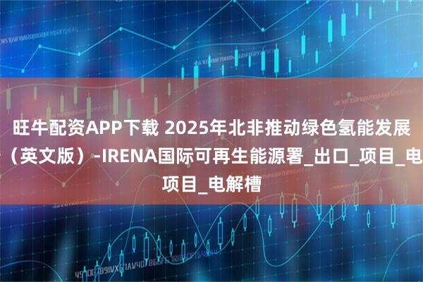 旺牛配资APP下载 2025年北非推动绿色氢能发展报告（英文版）-IRENA国际可再生能源署_出口_项目_电解槽